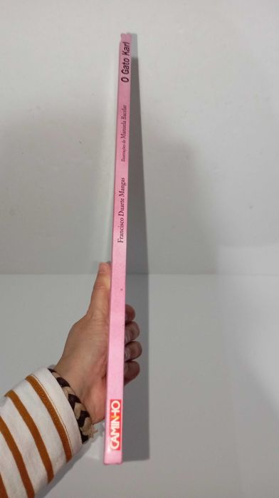 O Gato Karl  - Caminho