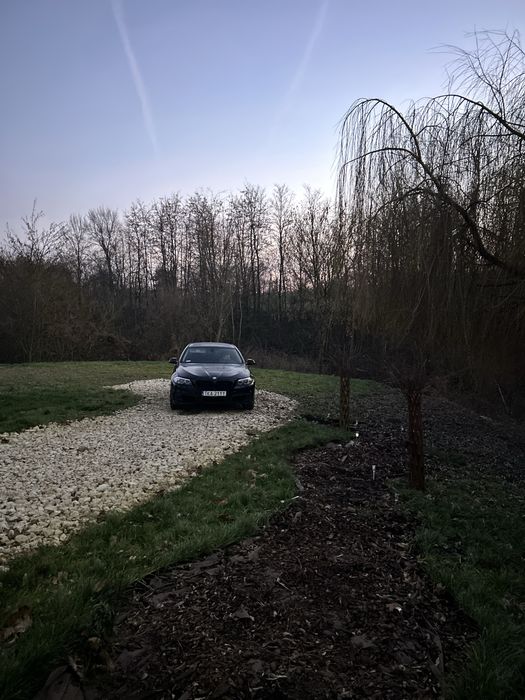 21 arów ciszy z prywatnym laskiem i starym domem