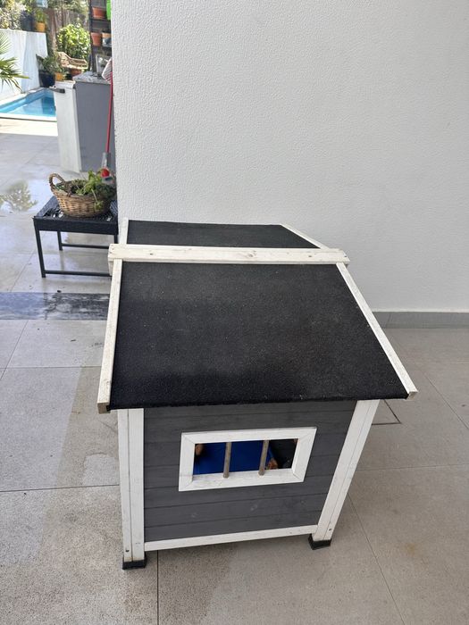 Casa para cães em madera