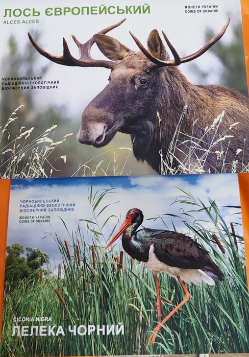 Обмін Лось європейський та Лелека Чорний на Ведмідь бурий та Рись