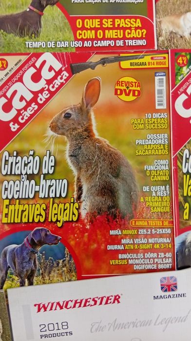 Revistas de caça e cães de caça