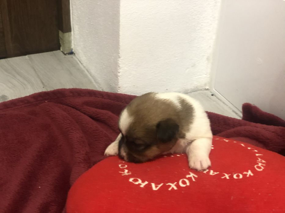 Шукаємо родини