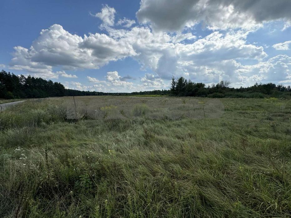 Продаж ділянки ОСГ 1,68 га селище Загальці Бучанського району