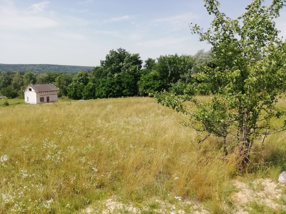 Продам земельну ділянку Здорівка Васильківський район. - Вид 3