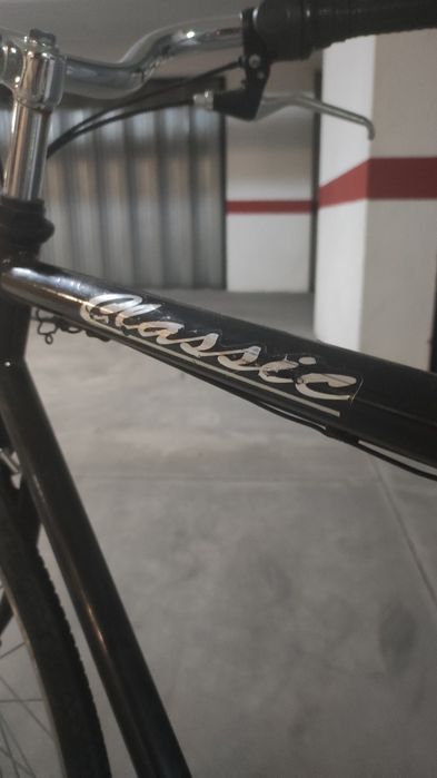 Bicicleta Pasteleira Órbita