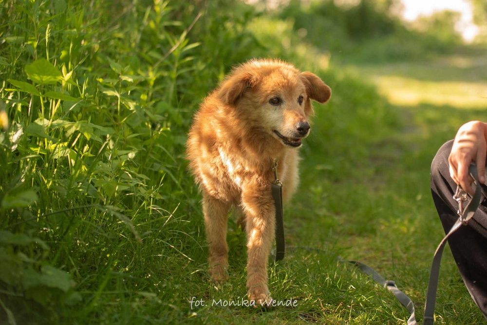 Danio szuka prawdziwej miłości