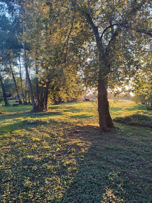 Działka na imprezę urodziny staw grill domek sauna balia ryby