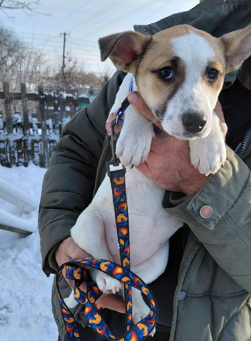 Дівчинка шукає родину!