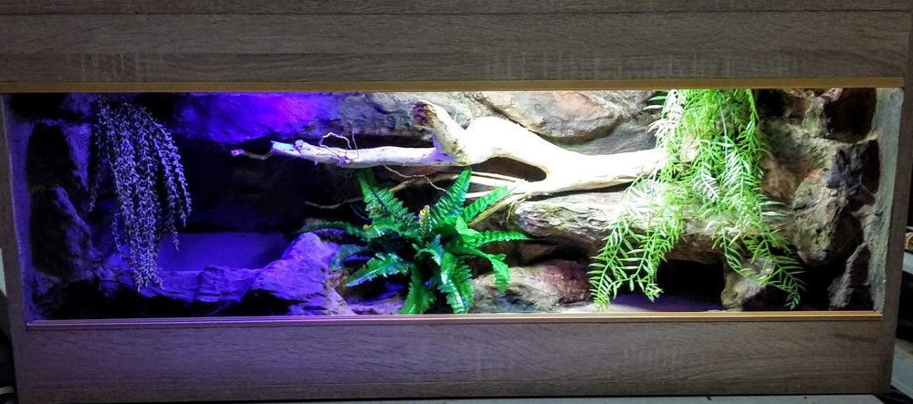 Terrarium dla węża na zamówienie 90x40x40