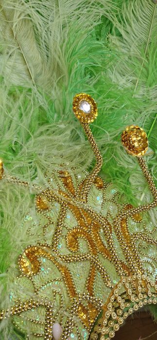 Passista brasil samba