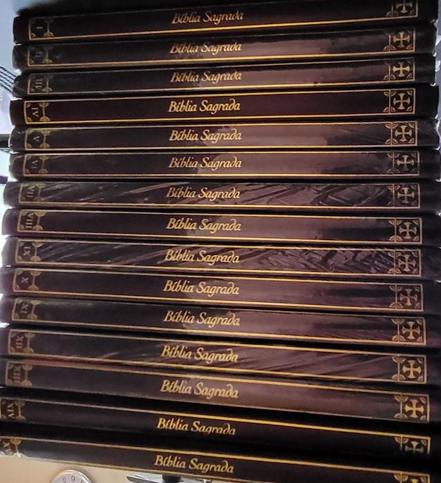 Bíblia Sagrada 15 volumes