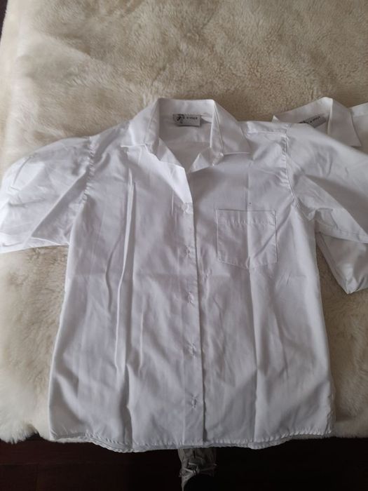 Traje Académico Mulher