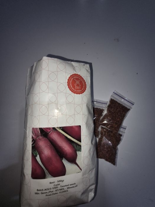 Насіння кормових буряків, червоних буряків, моркви