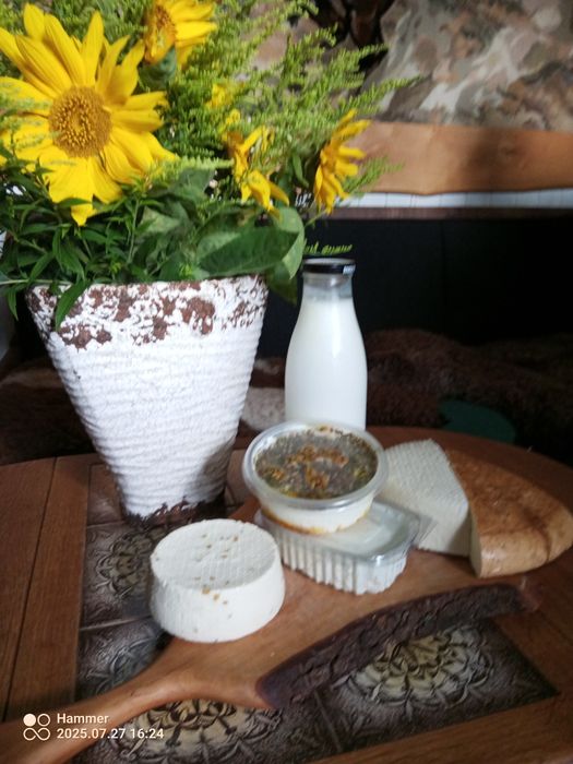 Mleko owcze, kozie, sery