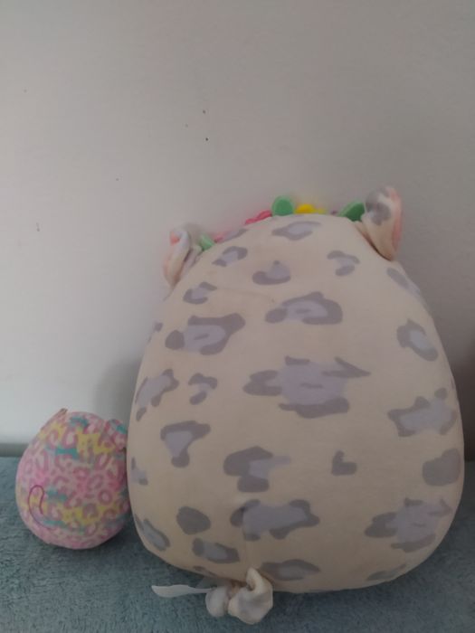 Maskotka squishmallows Świnka krowka + gratis