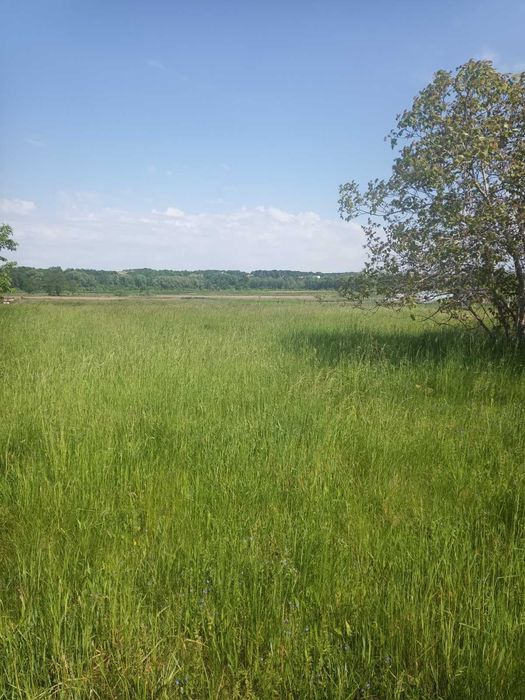Продам ділянку під забудову 25 соток, с. Селище, вул. Сумова