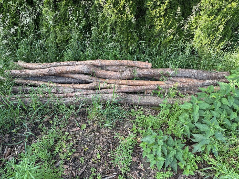 Stemple budowlane drewniane 280 cm