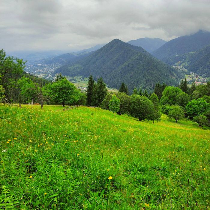 Відпочинок в карпатах