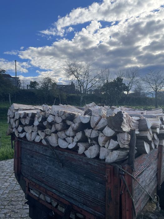 Vendo lenha com quiser