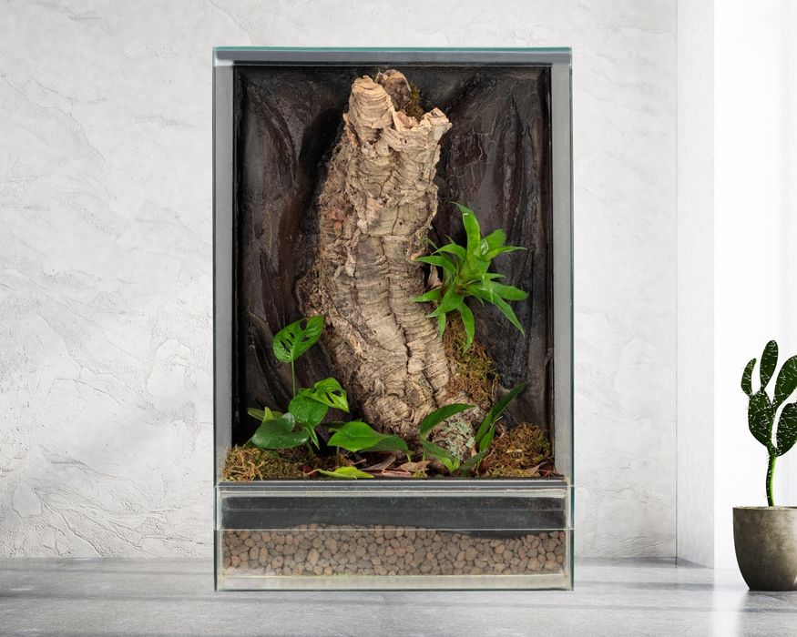 Terrarium las w szkle paludarium