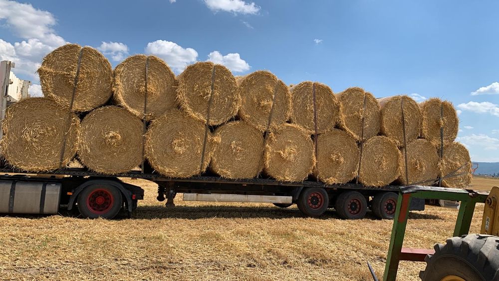 Słoma sezon 2025 po Lely