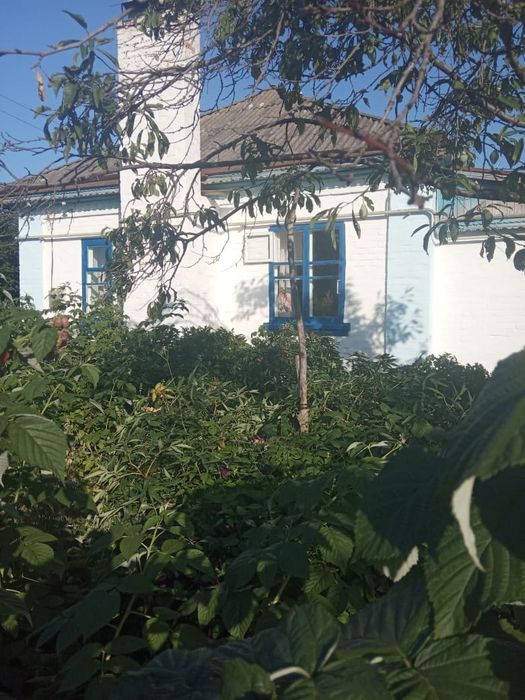 Продам будинок смт Чорнобай Черкаської обл