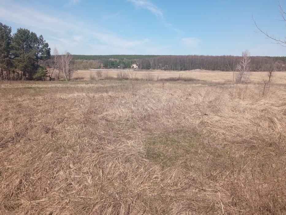 24.5 сотки продам срочно ЛІС - View 5