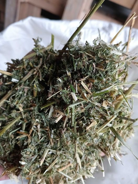 Sieczka z lucerny 10kg