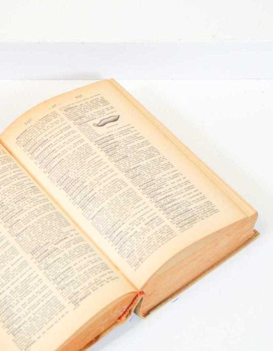 Lello Popular: Novo Dicionário Ilustrado da Língua Portuguesa