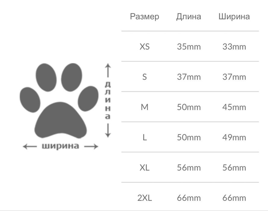 Взуття для собак POD
