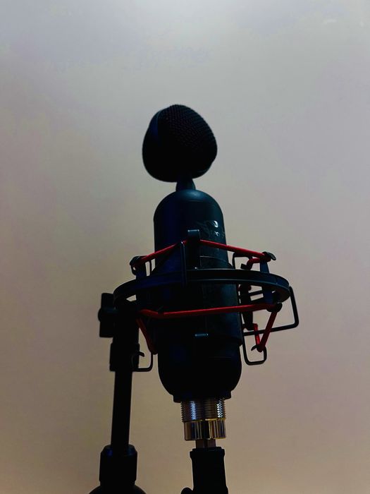 Мікрофон Trust GXT 244