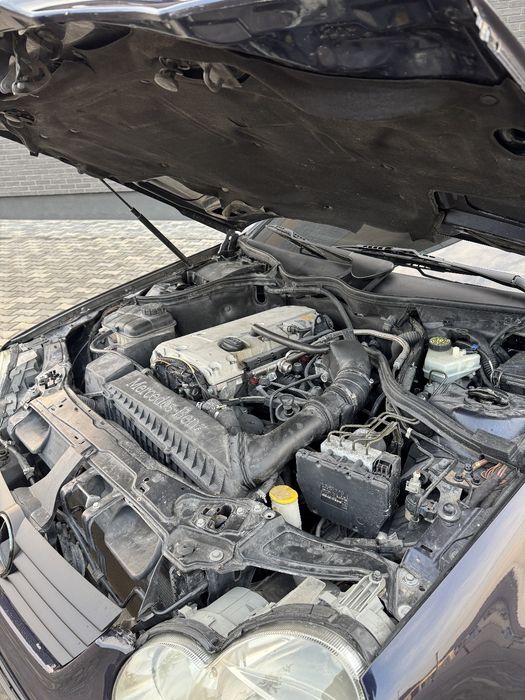 Продам Мурчика 2.0 на ручці