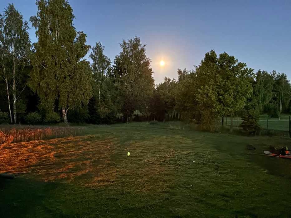 Działka budowlana - Dobieszków k. Łodzi - bezpośrednio - 2184m - zieleń, cisza, natura blisko miasta - View 4