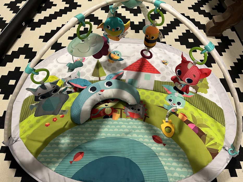 Tapete Ginásio Bebés Tiny Love