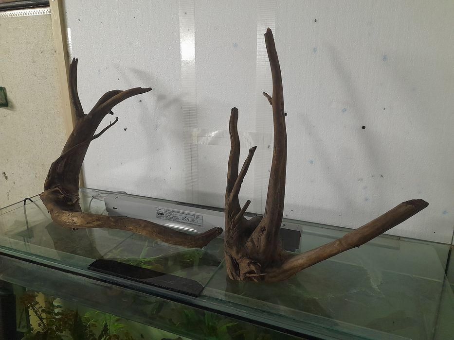 Korzenie do akwarium , naturalne