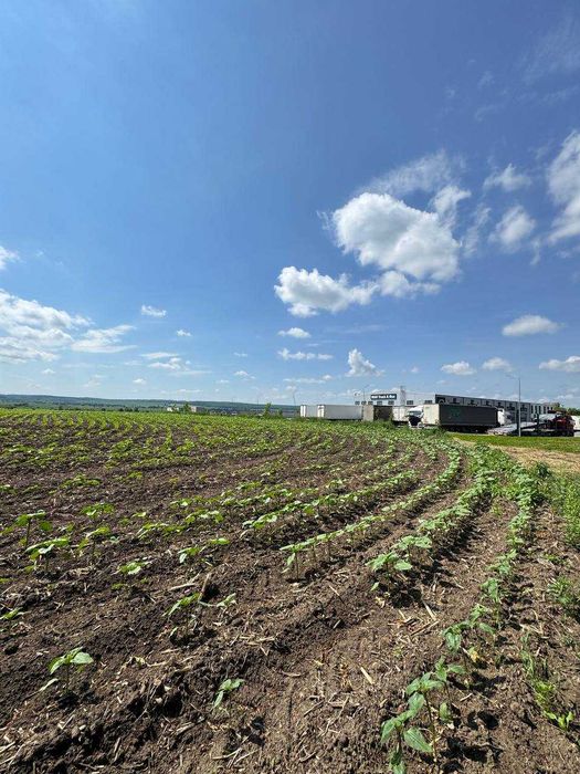 Продаж Фасадної ділянки 2га;
