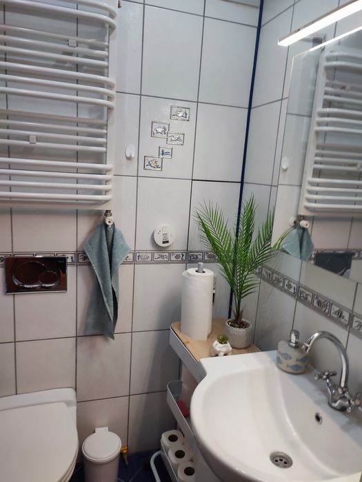 Pokój do wynajęcia