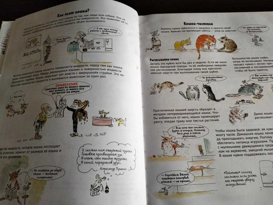 Кішки. Про що кажуть тварини. Секретна енциклопедія