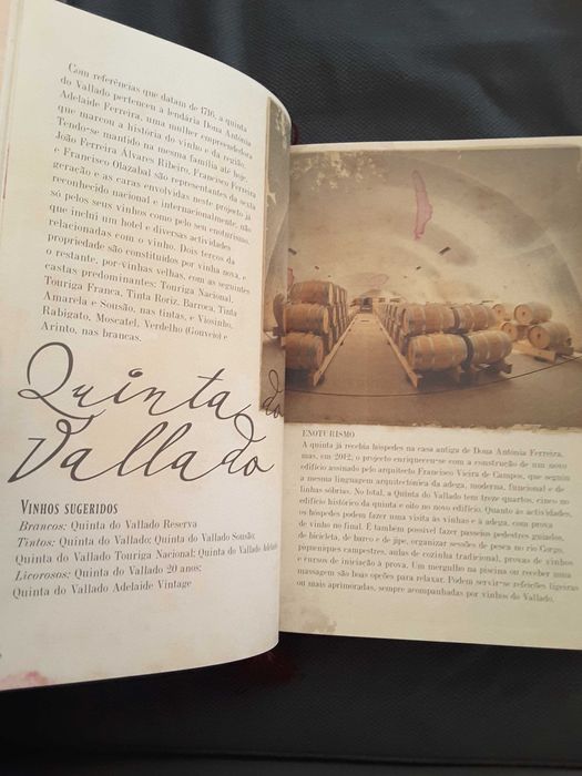 Diário de Cozinha. Receitas Veganas / Guia de Enoturismo de Portugal