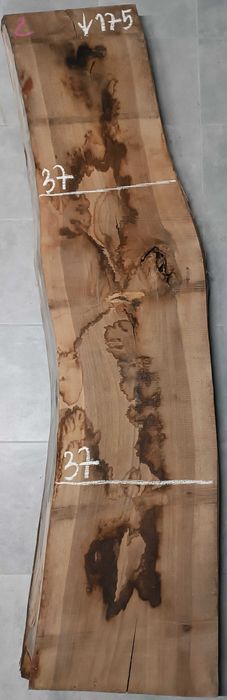 Deski Orzech Po Suszarni 5.7cm grubość