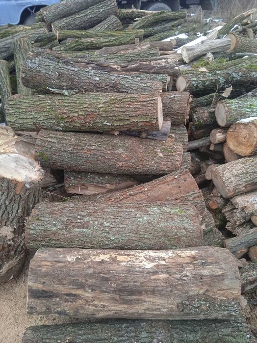 , Дрова твердої породи Дуб