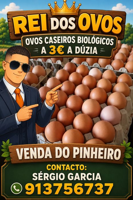 Ovos caseiros biológicos'galinhas criadas ao ar livre'