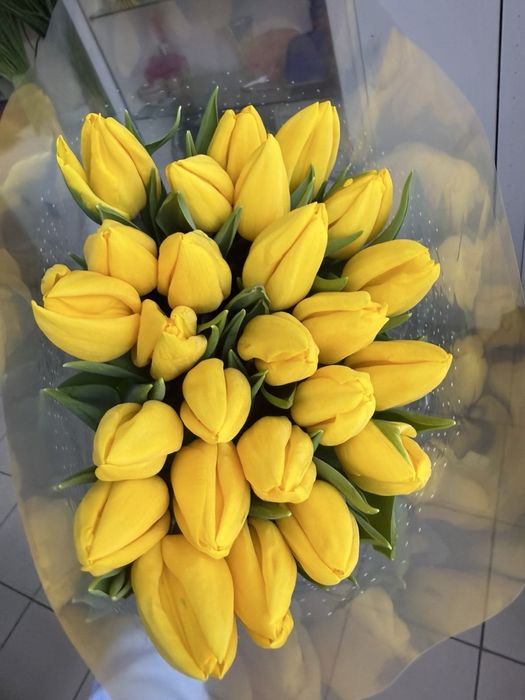 Продажа тюльпана ОПТ/РОЗНИЦА 40 грн