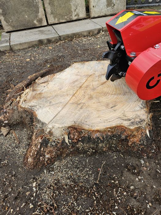 Frezowanie pni, wycinka drzew, uslugi ogrodnicze, glebogryzarka separa