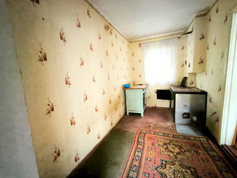 Продається два будинки в центрі с.Великий Дальник