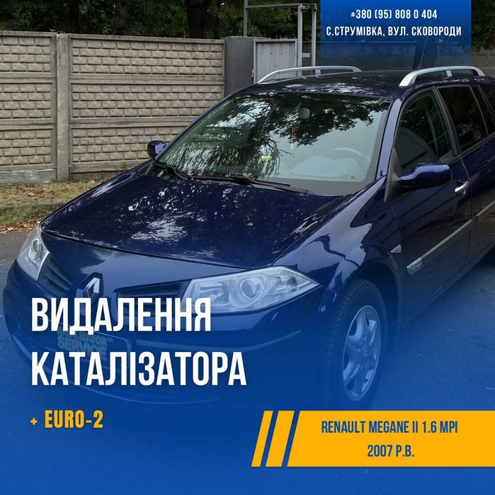 Миття, видалення каталізатора та сажового фільтра, прошивка EURO-2/3