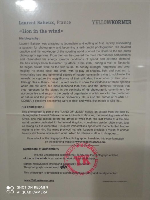 Fotogafia de Arte Yellow Korner