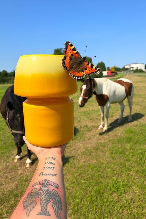 Skup antyków, kryształów, PRL, staroci, opróżnianie mieszkań – szybki