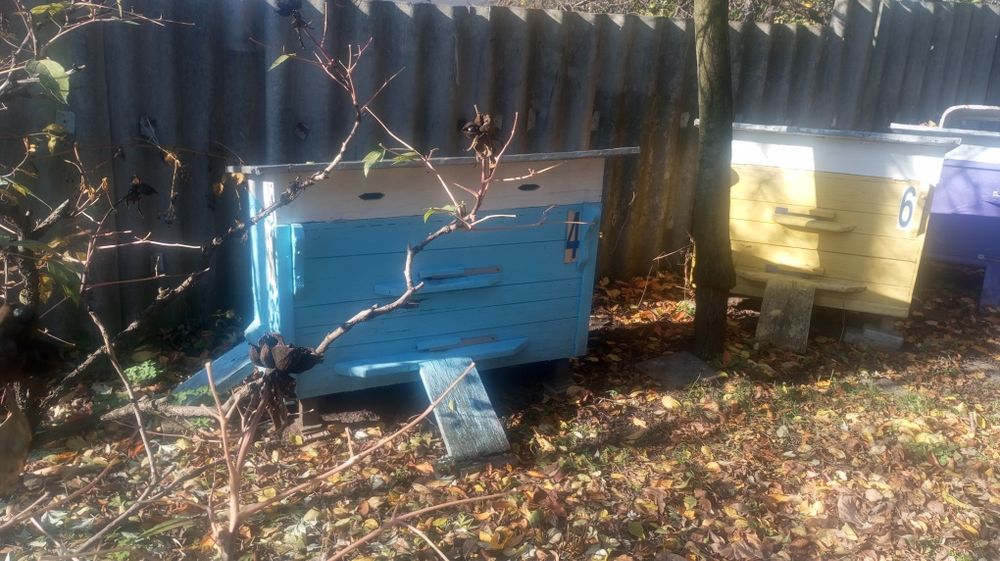 Продам вулики для бджіл