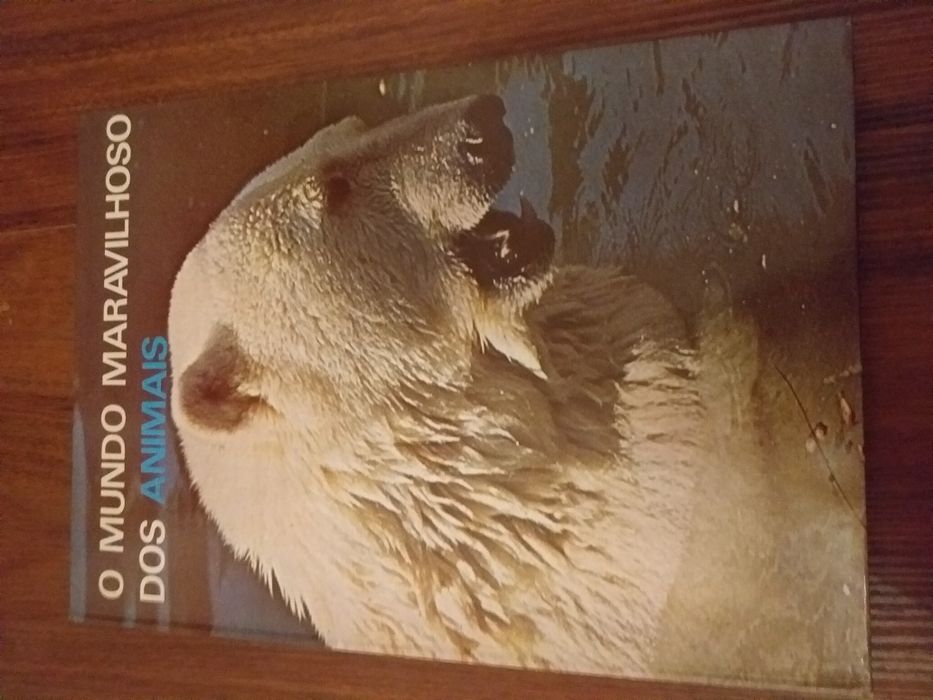 Colecção de 6 livros grandes
